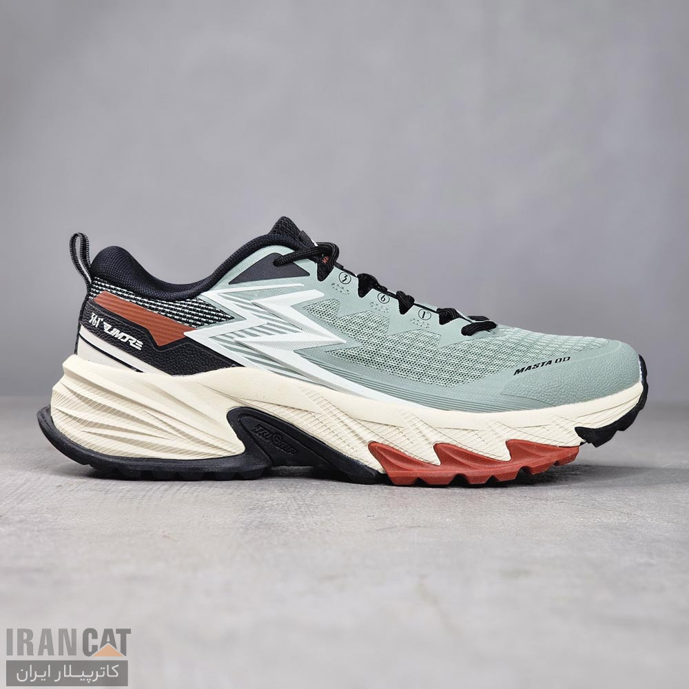 کفش مردانه 361 طبیت گردی 4-572433302